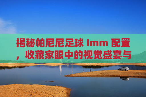 揭秘帕尼尼足球 Imm 配置,收藏家眼中的视觉盛宴与价值密码