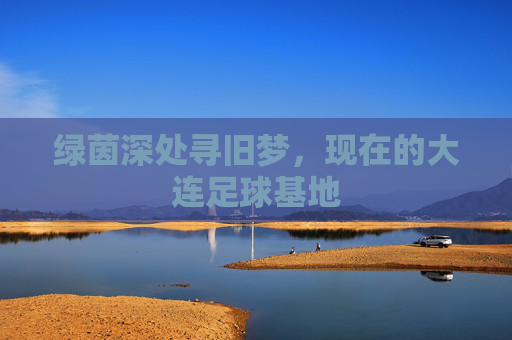 绿茵深处寻旧梦,现在的大连足球基地