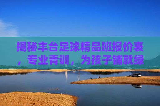 揭秘丰台足球精品班报价表,专业青训,为孩子铺就绿茵梦想之路