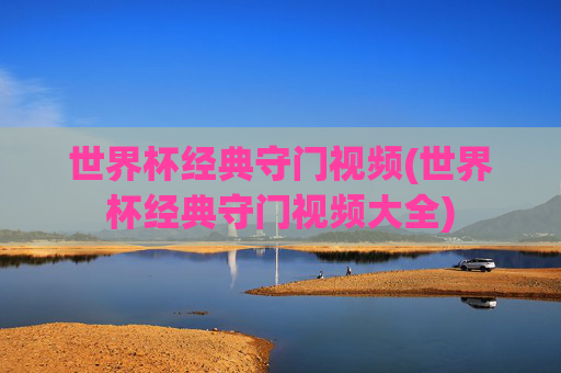 世界杯经典守门视频(世界杯经典守门视频大全)