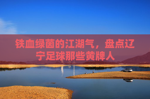 铁血绿茵的江湖气,盘点辽宁足球那些黄牌人