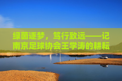 绿茵逐梦,笃行致远——记南京足球协会王学涛的耕耘与担当