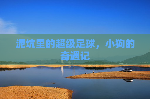 泥坑里的超级足球，小狗的奇遇记