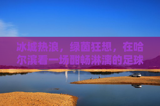 冰城热浪,绿茵狂想,在哈尔滨看一场酣畅淋漓的足球赛
