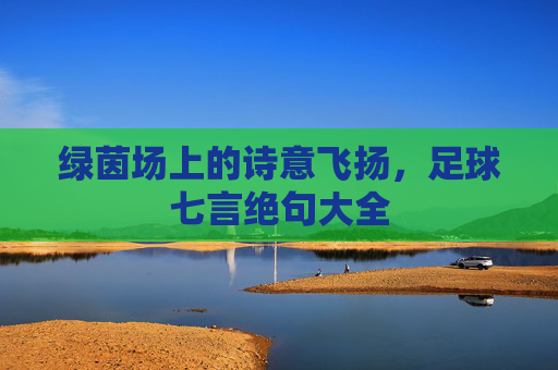 绿茵场上的诗意飞扬，足球七言绝句大全
