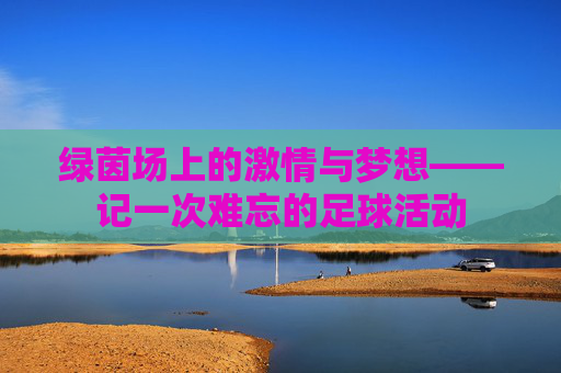 绿茵场上的激情与梦想——记一次难忘的足球活动