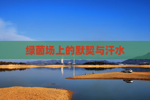 绿茵场上的默契与汗水