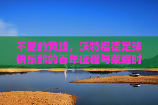 不屈的黄蜂，沃特福德足球俱乐部的百年征程与荣耀时刻