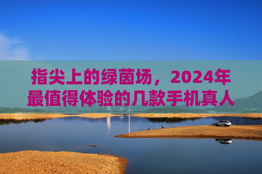 指尖上的绿茵场，2024年最值得体验的几款手机真人足球游戏