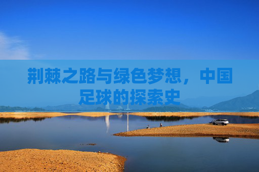荆棘之路与绿色梦想,中国足球的探索史