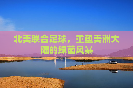 北美联合足球,重塑美洲大陆的绿茵风暴
