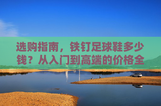选购指南,铁钉足球鞋多少钱?从入门到高端的价格全解析