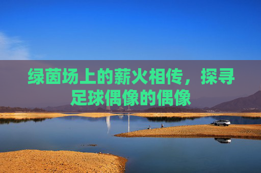 绿茵场上的薪火相传,探寻足球偶像的偶像