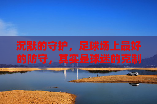 沉默的守护,足球场上最好的防守,其实是球迷的克制