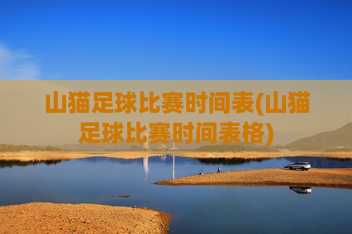 山猫足球比赛时间表(山猫足球比赛时间表格)
