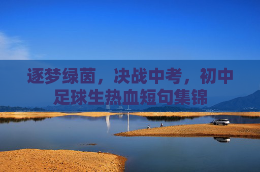 逐梦绿茵,决战中考,初中足球生热血短句集锦
