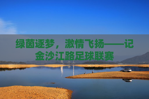绿茵逐梦,激情飞扬——记金沙江路足球联赛
