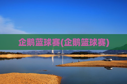 企鹅蓝球赛(企鹅篮球赛)