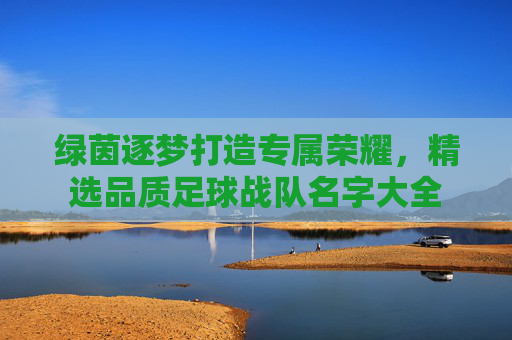 绿茵逐梦打造专属荣耀,精选品质足球战队名字大全
