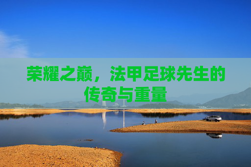荣耀之巅,法甲足球先生的传奇与重量