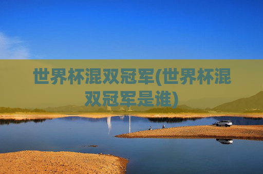 世界杯混双冠军(世界杯混双冠军是谁)