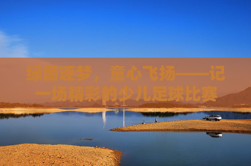 绿茵逐梦,童心飞扬——记一场精彩的少儿足球比赛