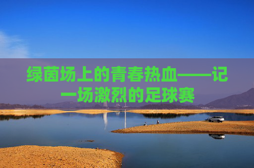 绿茵场上的青春热血——记一场激烈的足球赛