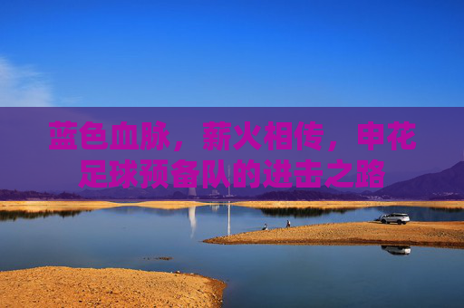 蓝色血脉,薪火相传,申花足球预备队的进击之路