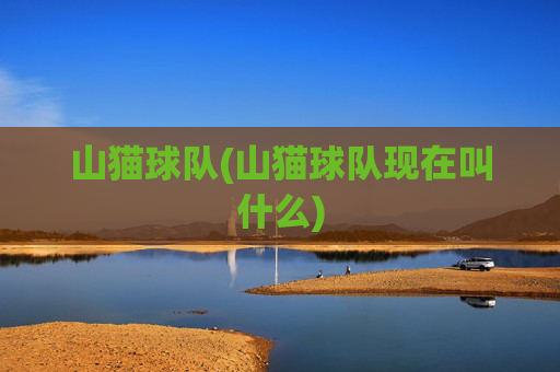 山猫球队(山猫球队现在叫什么)