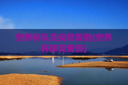 世界杯队员突然昏倒(世界杯球员受伤)