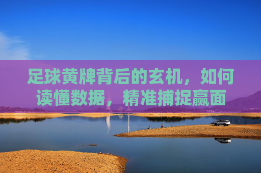 足球黄牌背后的玄机,如何读懂数据,精准捕捉赢面