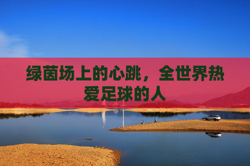 绿茵场上的心跳,全世界热爱足球的人