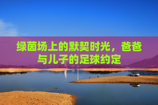 绿茵场上的默契时光,爸爸与儿子的足球约定