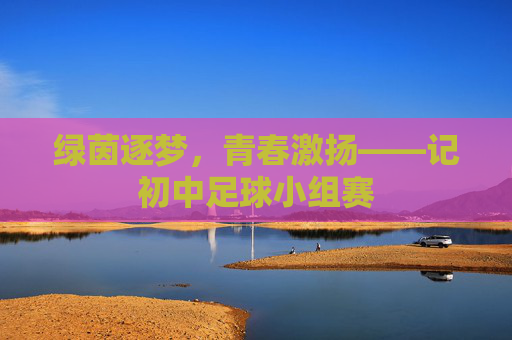 绿茵逐梦,青春激扬——记初中足球小组赛