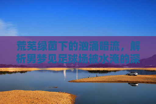 荒芜绿茵下的汹涌暗流,解析男梦见足球场被水淹的深层寓意
