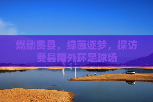 燃动费县,绿茵逐梦,探访费县南外环足球场
