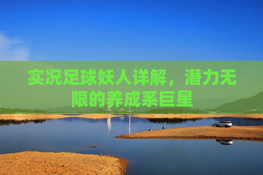 实况足球妖人详解,潜力无限的养成系巨星