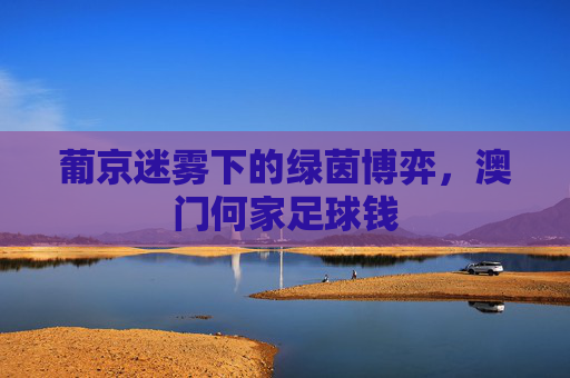 葡京迷雾下的绿茵博弈，澳门何家足球钱