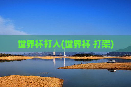世界杯打人(世界杯 打架)