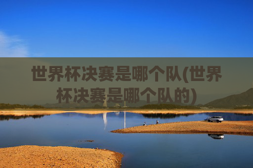 世界杯决赛是哪个队(世界杯决赛是哪个队的)