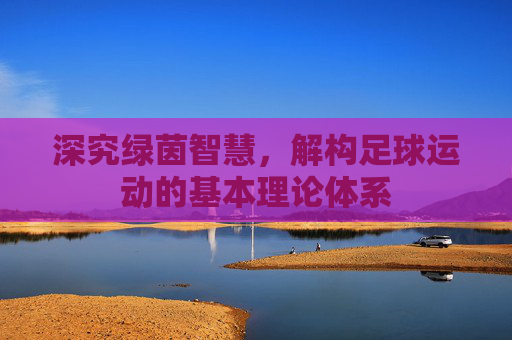 深究绿茵智慧，解构足球运动的基本理论体系