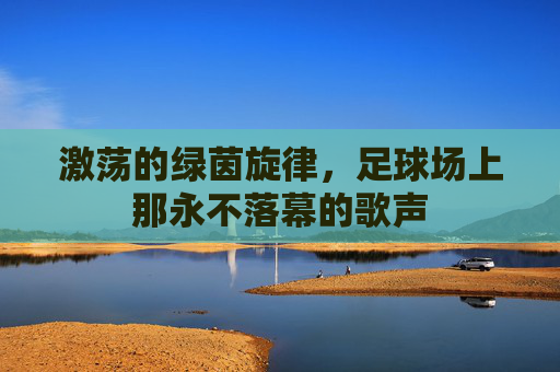 激荡的绿茵旋律,足球场上那永不落幕的歌声