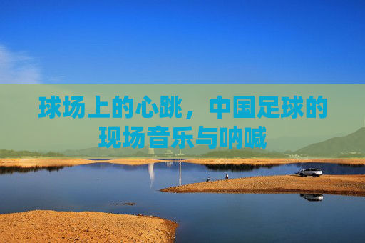 球场上的心跳,中国足球的现场音乐与呐喊