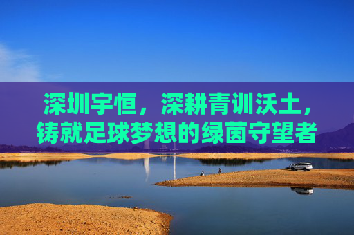 深圳宇恒,深耕青训沃土,铸就足球梦想的绿茵守望者