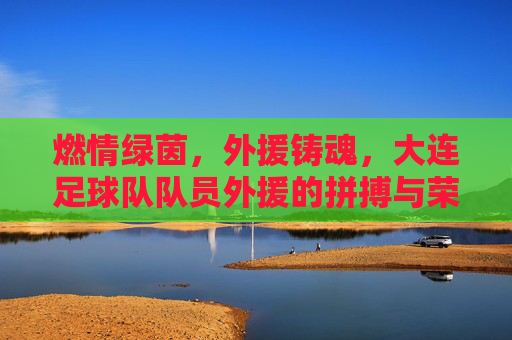 燃情绿茵，外援铸魂，大连足球队队员外援的拼搏与荣耀