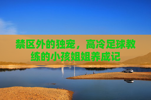 禁区外的独宠,高冷足球教练的小孩姐姐养成记