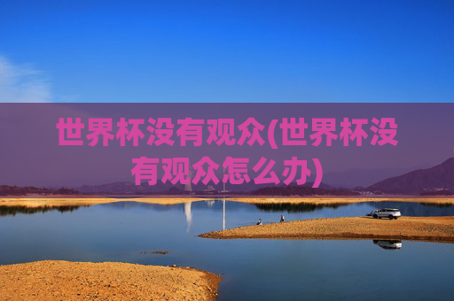 世界杯没有观众(世界杯没有观众怎么办)