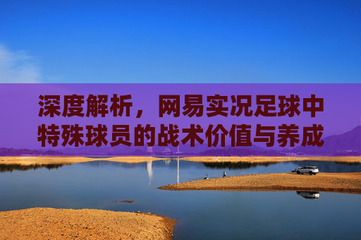 深度解析，网易实况足球中特殊球员的战术价值与养成指南