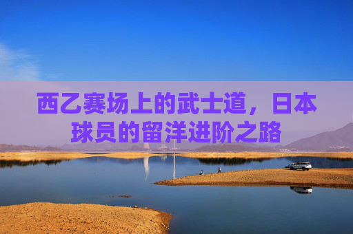 西乙赛场上的武士道,日本球员的留洋进阶之路