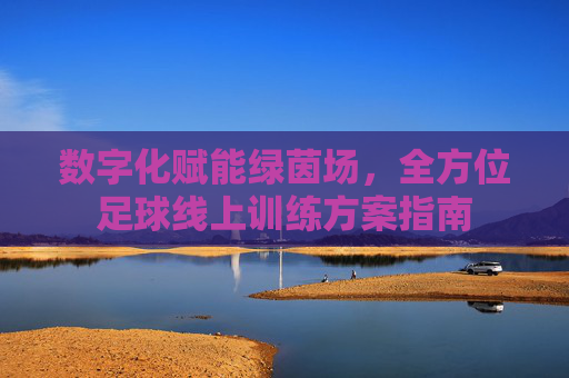 数字化赋能绿茵场,全方位足球线上训练方案指南
